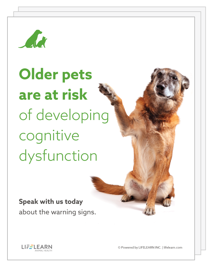 Get Your Complimentary Cognitive Dysfunction Awareness Kit Lifelearn Inc