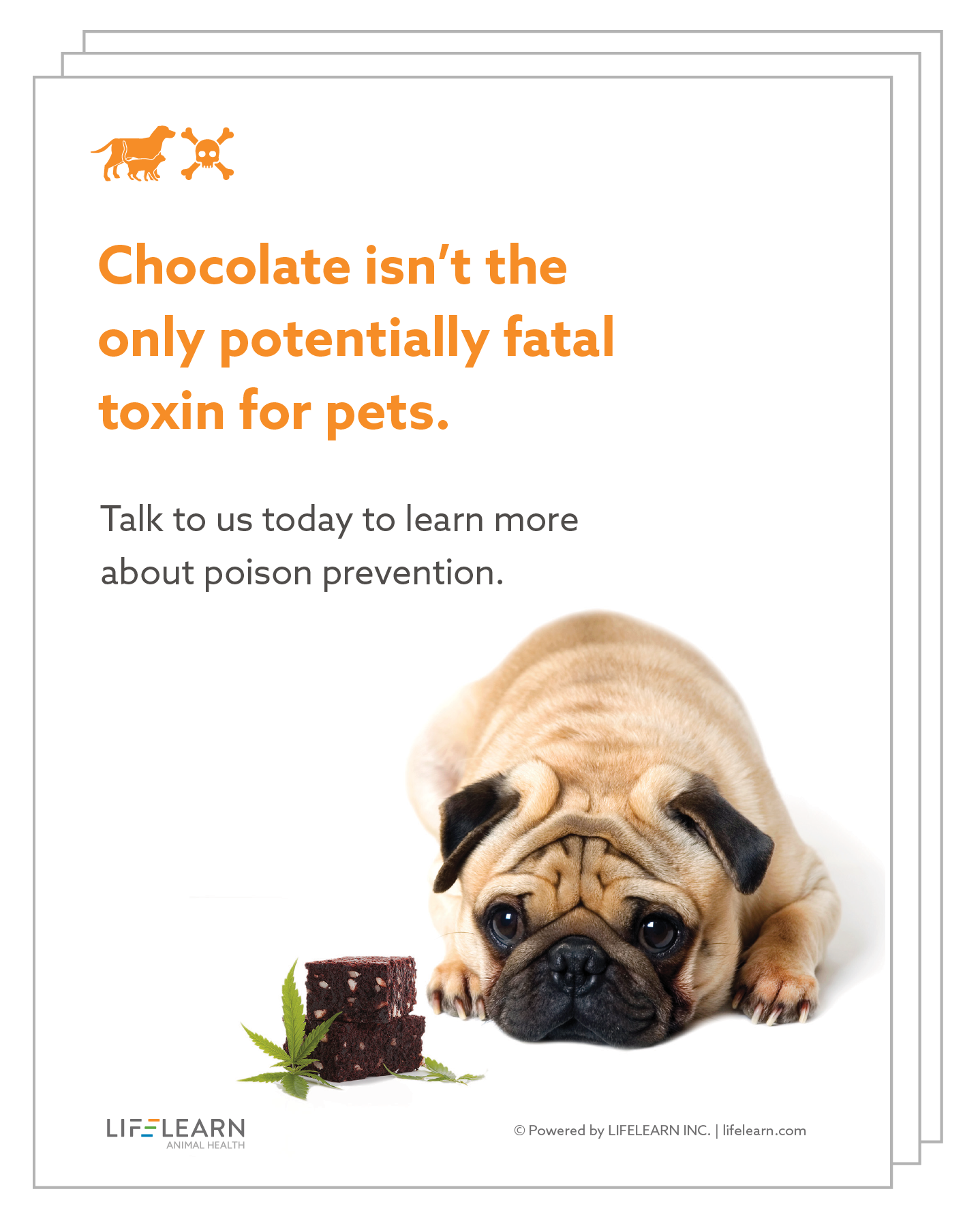 Get Your Complimentary Pet Poison Prevention Awareness Kit : LifeLearn Inc.