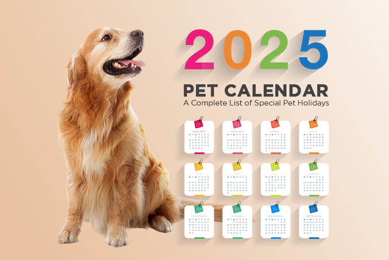 Pet Holidays 2025