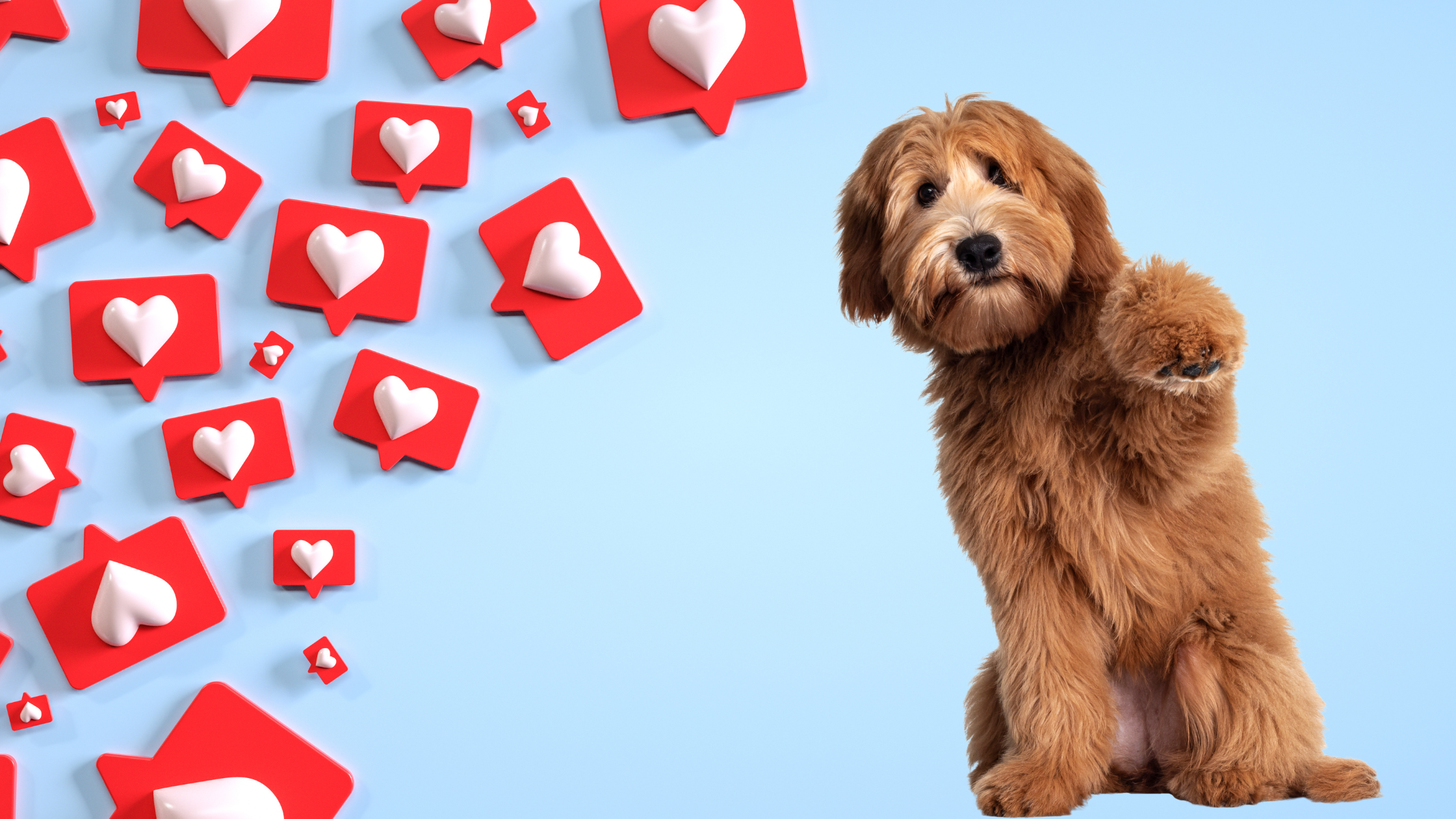 Veterinary Social Media Calendar: Complete Guide for 2025