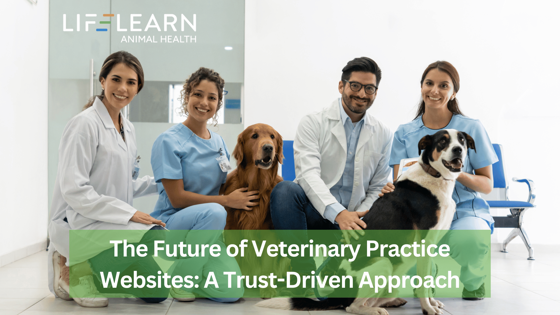 veterinary websites